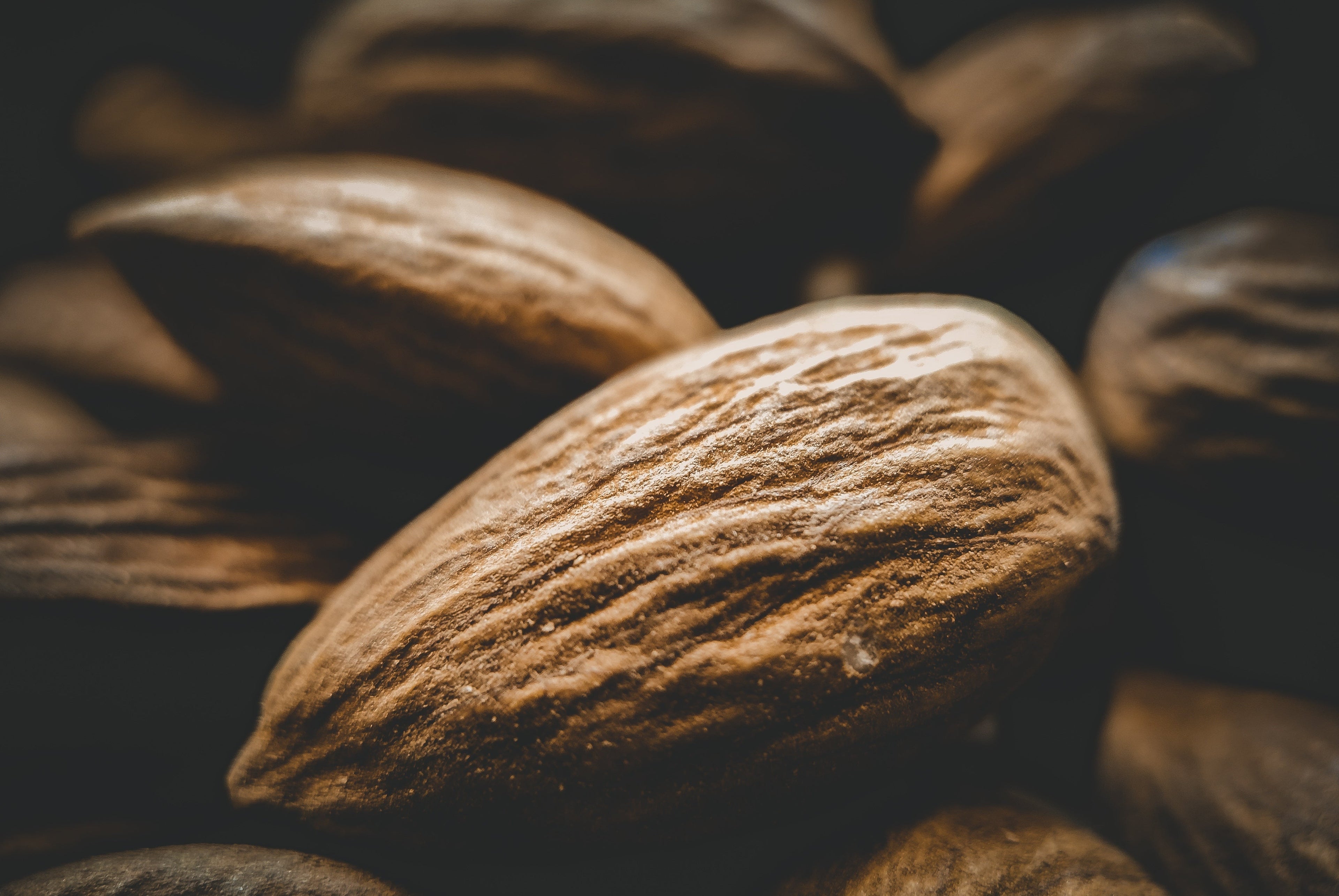 La mandorla. Frutto pregiato e dalle tante qualità nutrizionali.