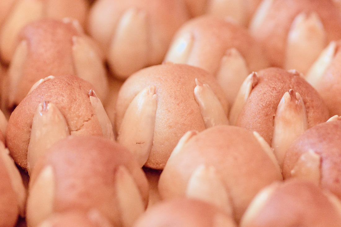 Dolcetto facile e veloce: la pasta di mandorle
